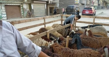 عيد الأضحى بدون مشاكل فموية.. كيف تحافظ على أسنانك مع كثرة اللحوم؟