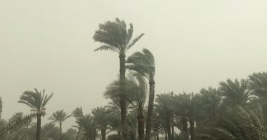 الطقس اليوم.. انخفاض درجات الحرارة وشبورة وأمطار ببعض المناطق