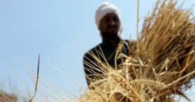 لماذا يعد ختام شهر “برمودة” العيد الحقيقي للفلاح فى مصر؟
