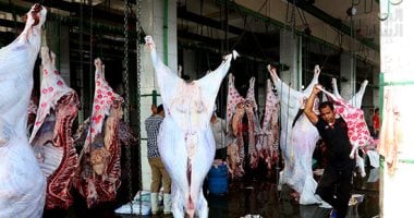تعرف على شروط ذبح الحيوانات المستورد وإجراءات الحجر البيطرى بقانون الزراعة