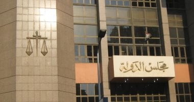 فتوى مجلس الدولة: استمرار الإعفاءات الضريبية لهيئة التأمين الاجتماعى