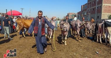 مع اقتراب عيد الأضحى.. معهد التغذية يكشف روشتة تناول اللحوم.. يؤكد: مصدر مهم للحديد والزنك وفيتامين «B12» لتقوية المناعة.. يحذر من الإفراط فى تناولها لتجنب مشاكل الجهاز الهضمى.. وتدعو للتقليل من حلويات اللحوم