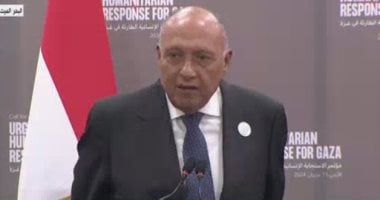 رئيس “خارجية النواب” يوافق على الحساب الختامي ويؤكد ضرورة تعظيم الموارد