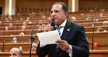 الشئون العربية بالنواب تدين الهجوم على مطار الخرطوم الدولي بطائرات مسيّرة