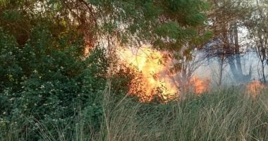 السيطرة على حريق فى زراعات بجوار ميدان الجزيرة بمدينة أسوان