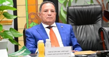 رئيس لجنة الشئون العربية: 700 مليار جنيه مستحقات الحكومة لدى الغير