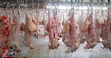 464 مجزراً.. التنمية المحلية والبيئة استثمرتا مليارات الجنيهات لتأمين مائدة المصريين وإنهاء فوضى الذبح العشوائى بالتكنولوجيا الخضراء.. عيد أضحى بلحوم آمنة وصفر مخلفات.. غرامات تصل لـ10 آلاف جنيه عقوبة للمخالفين