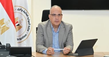وزير الري يتابع موقف غرق أحد الصنادل بمنطقة ميناء السد العالي شرق ببحيرة ناصر