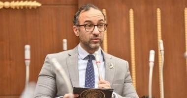 الحمامصي: إدانة مصر لاستهداف ناقلة إماراتية تؤكد دورها المحوري
