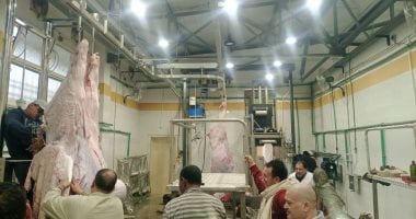 حظر الذبح بالشوارع فى بورسعيد خلال عيد الأضحى.. والمجزر يعمل مجانًا