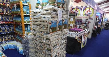 أخبار × 24 ساعة.. طرح كميات كبيرة من البيض والدواجن بالأسواق
