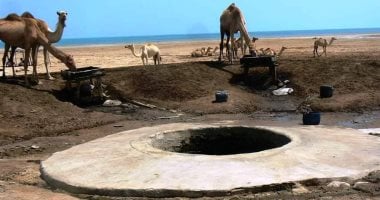 آبار الصحراء الشرقية منابع مياه ارتوى منها الحجاج وسقت الماشية وتحولت بمرور الزمن إلى دلائل الصحراء.. أشهرها “قومدليم” و”أدلديت” و”شناى” و”بيتان”.. وكانت عيونًا قديمًا وحولها الإنجليز لآبار بعد تعقيمها.. صور