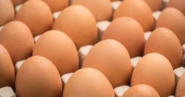 الزراعة تواصل ضخ بيض المائدة والدواجن بسعر مخفض لتخفيف العبء عن المواطن