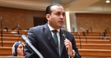 النائب عمرو فهمى: نطالب بدعم الصحة وتطوير الطرق فى القرى