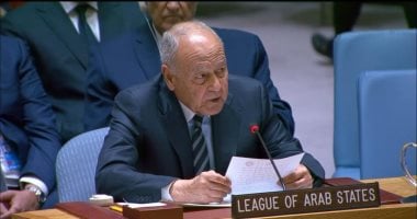أبو الغيط يدين اختطاف ناقلة نفط على متنها بحارة مصريون قبالة سواحل اليمن