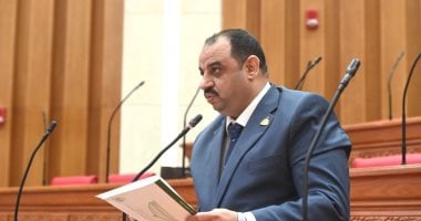 نائب: مشاركة الرئيس فى اتصال مع ترامب تؤكد دور مصر فى صناعة استقرار المنطقة