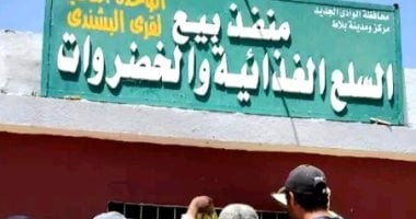 سمك في الصحراء.. القصة الكاملة لنجاح مشروعات الاستزراع السمكي فى مركز بلاط بالوادي الجديد.. تغطية احتياجات السوق المحلى من أسماك البورى والبلطى والمبروكة.. وطرح المنتجات فى المنافذ الحكومية بأسعار مخفضة.. صور