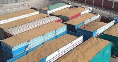 محافظ الوادي الجديد: توريد ربع مليون طن قمح بصوامع وشون المحافظة وخارجها