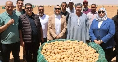 خيرات مزارع مركز بلاط بالوادى الجديد بأعلى إنتاجية للتصدير وتغطى احتياجات السوق المحلى.. أجود الأصناف بأحدث تقنيات الزراعة والحصاد المميكن.. والزراعة تنجح فى إنتاج أول فصيلة تقاوى بمواصفات التصدير.. صور