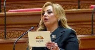 «خارجية النواب»: لقاء الرئيس السيسي وبن زايد يعكس قوة التحالف المصرى الإماراتى