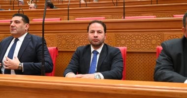 النائب رمضان بطيئة: علاقات مصر والإمارات نموذج فريد للتحالف الاستراتيجى