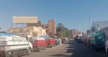 إقبال كبير على توريد القمح فى شون وصوامع الأقصر