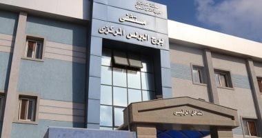 بعد عقر كلب لـ 15 شخصا.. إرشادات للتعامل السريع يعلنها مستشفى البرلس
