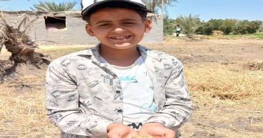 حصاد 270 ألف فدان من الذهب الأصفر بالشرقية.. اعرف التفاصيل