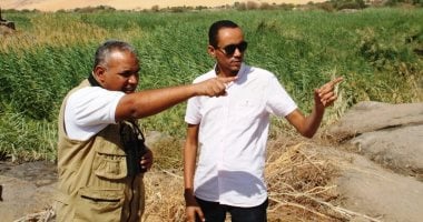 5 أنواع نادرة تحلق فوق سماء مصر بالتزامن مع هجرة الطيور.. صور