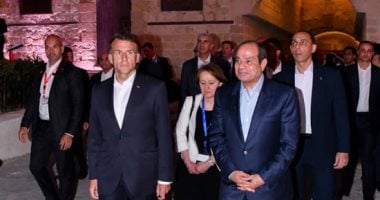 نائب: مصر قوة محورية لا غنى عنها فى معادلة السياسة الدولية