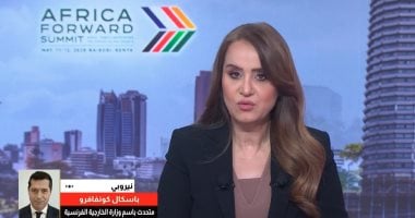 متحدث الخارجية الفرنسية: استثمار 400 مليار يورو من شركات بلادنا بأفريقيا