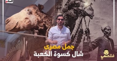 الجمل اللى شال كسوة الكعبة.. المصريون عاملوه كملك وبكوا عليه بعد موته (فيديو)
