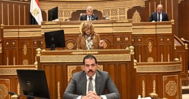 الشيوخ يفتح ملف الطيران.. مطالب بتطوير المطارات وتقليل الخسائر وزيادة الرحلات