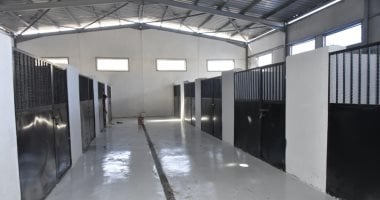 تعرف على أهم المعلومات عن “شيلتر” إيواء الكلاب الضالة الجديد بجنوب بورسعيد