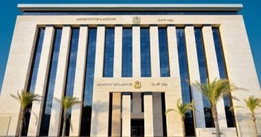 قانون العمل يحدد أعضاء المجلس الأعلى لتنمية مهارات الموارد البشرية
