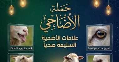 6 علامات تدل على سلامة الأضحية.. “بيطرى دمياط” توضحها