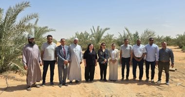 وزارة التضامن: دعم الأسر الأولى بالرعاية وكفالة الأيتام بالوادى الجديد