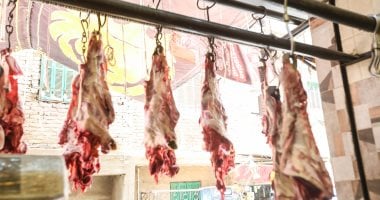 قبل ما تخزن اللحمة.. نصائح مهمة من الطب البيطرى بالجيزة بعد الذبح (فيديو)