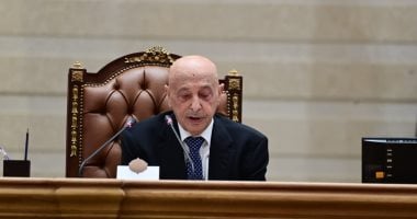 رئيس النواب الليبى: مصر ساندت ليبيا دون قيد أو شرط