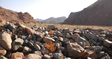 القطار والدخان ومليحة.. مناطق جبلية وآثارية تتصدر مشهد سياحة السفارى بالبحر الأحمر.. آثار رومانية وطبيعة نادرة.. ووجهات مميزة للمهتمين بالمشى بين القمم والاستمتاع بالطبيعة الخلابة والتاريخ.. صور