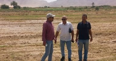 محافظة سوهاج تنفى زراعة أراضى خضراوات على مياه الصرف الصحى بالكولة