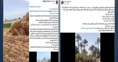 كواليس ادعاء طالبة سحل زوجها وشقيقها بالبحيرة بسبب صراع الميراث