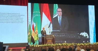 وزير الخارجية: سد جوليوس نيريري يولد أكثر من 600 مليار ميجا وات كهرباء