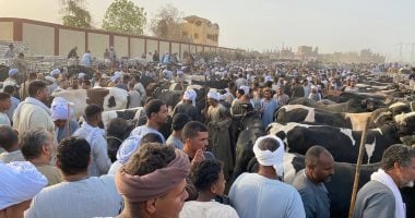 أسواق الماشية كاملة العدد فى الأقصر قبل دخول عيد الأضحى المبارك.. صور