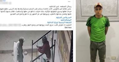 بسبب موبايل.. مسجل خطر يسب فتاة ويقذفها بالحجارة.. والأمن يضبط المتهم