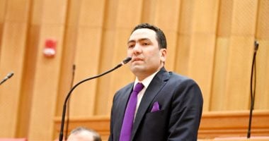 نائب: مشاركة الرئيس فى اتصال مع ترامب وقادة المنطقة يؤكد دعم مصر للاستقرار