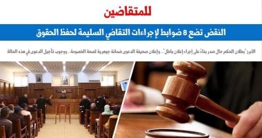 النقض تضع 8 ضوابط لإجراءات التقاضى السليمة لحفظ الحقوق.. برلمانى