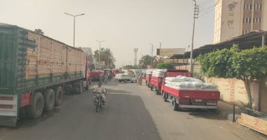 توريد القمح لصوامع الأقصر مستمر يوميا بلجان التموين والزراعة.. فيديو وصور