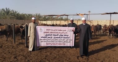 الأوقاف تتابع تجهيز الأضاحى بمجازر أبو سمبل استعدادًا لعيد الأضحى.. صور