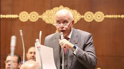 زيارة الرئيس السيسي للإمارات تُفشل مخططات الإخوان وتؤكد قوة التحالف المصري الإماراتى